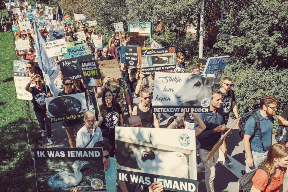 Michèle at an animals rights march
